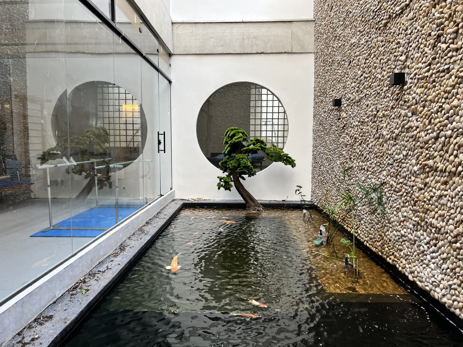Jardim interno da clínica com lago de carpas, bonsai e parede de pedras